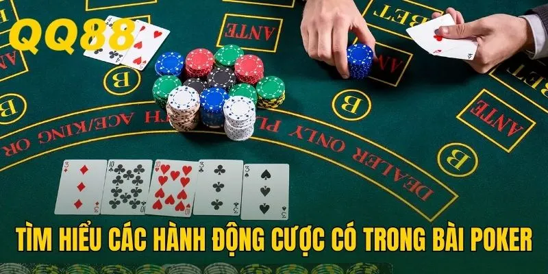 Tìm hiểu các hành động cược có trong bài Poker